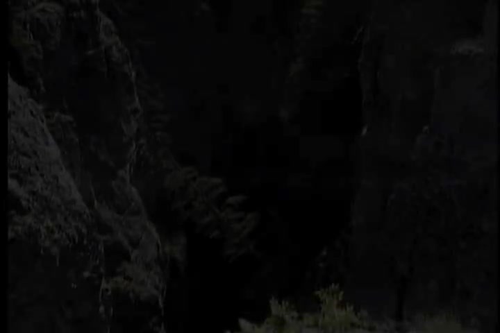 碟A 10 青山-心声泪痕（华声）