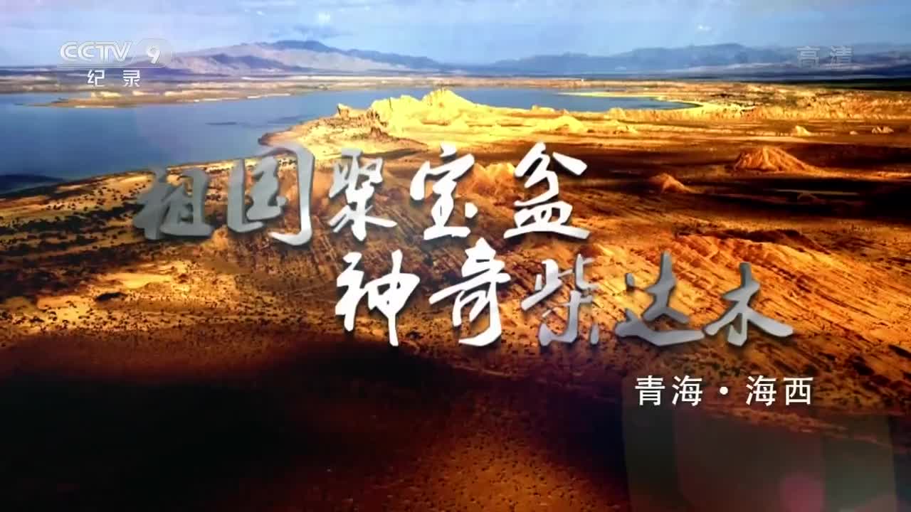 我在故宫修文物3：书画的修复