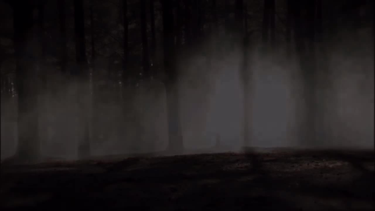 第9集：军旅出身的皇帝