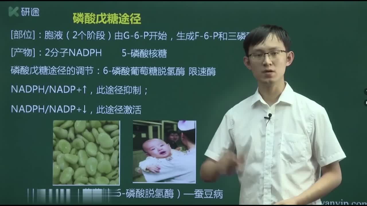 第四章 糖代谢-3