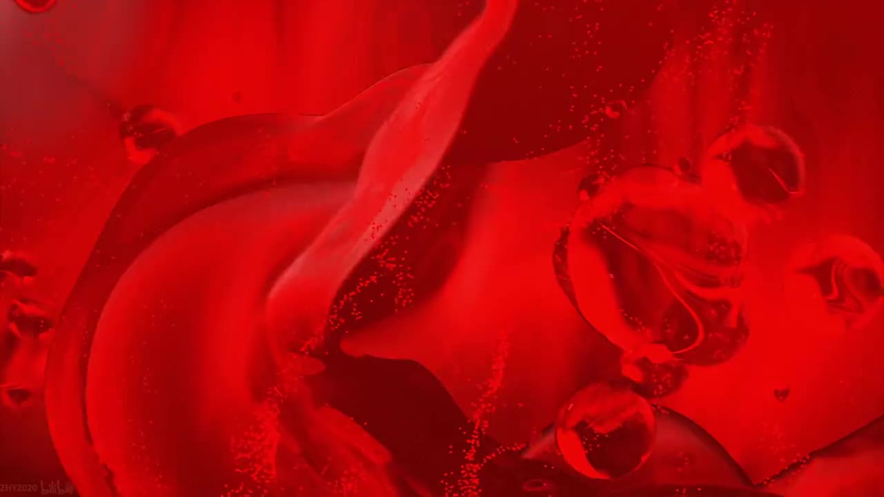 NCOP1：KISS OF DEATH