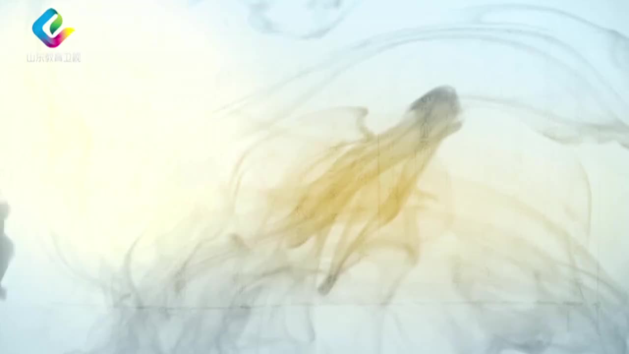 10-王中江：大学之道 10