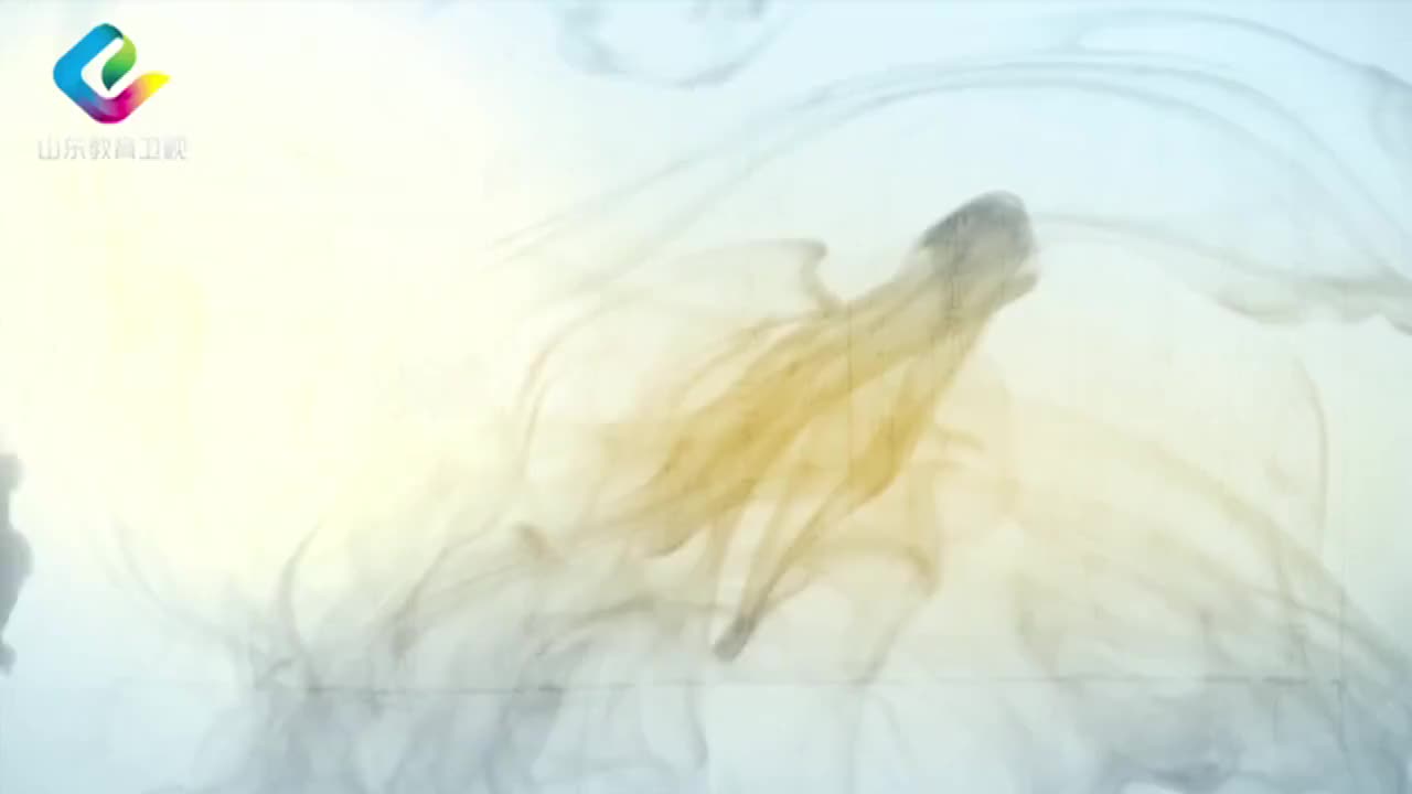 15-梁涛：诚意慎独 15