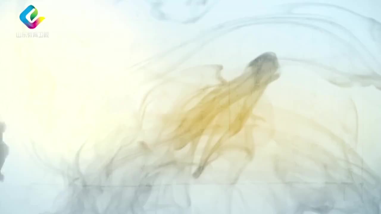 9-王中江：大学之道 9