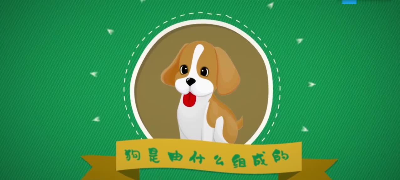 04.铁——人类生存的万能钥匙