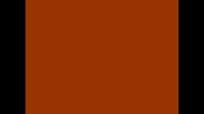 新编大型评剧《红高粱》全剧（完整版）视频_高清