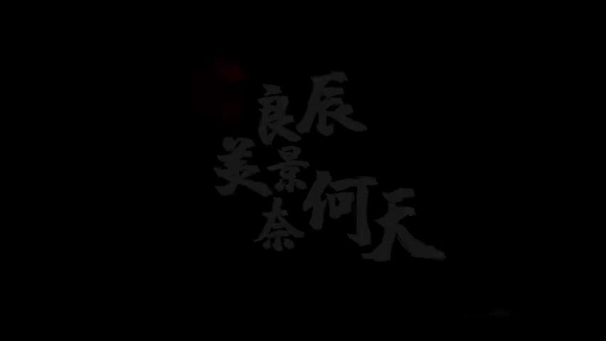 11.汤显祖-良辰美景奈何天