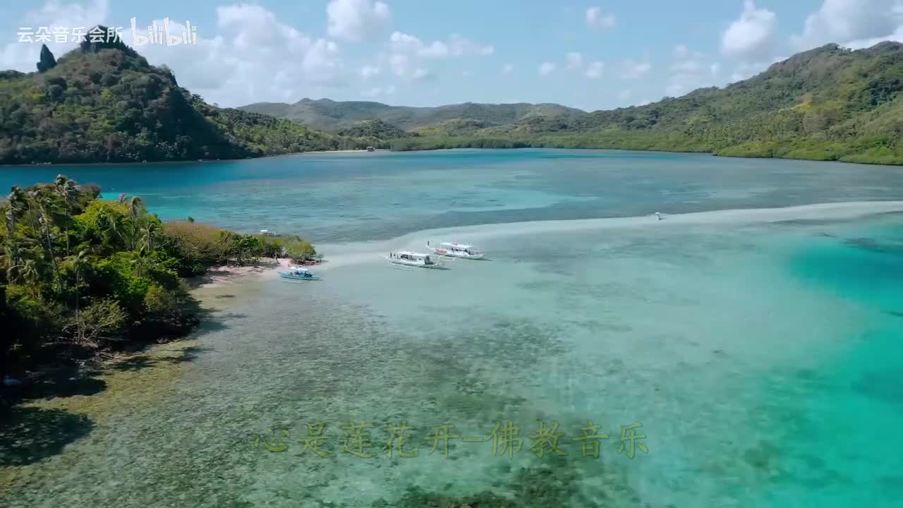 《心是莲花开》