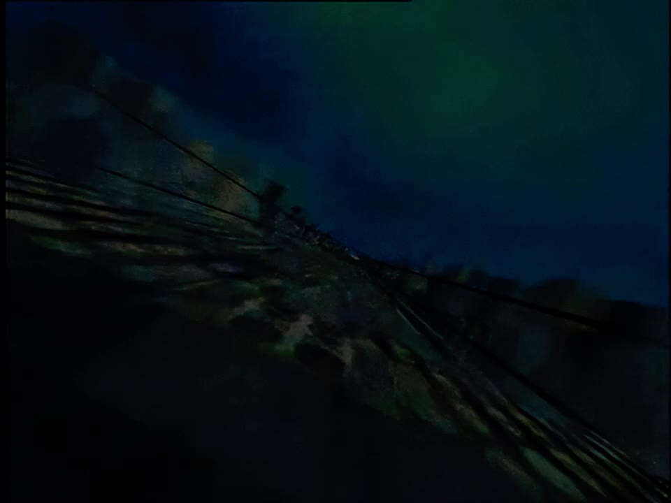 醉