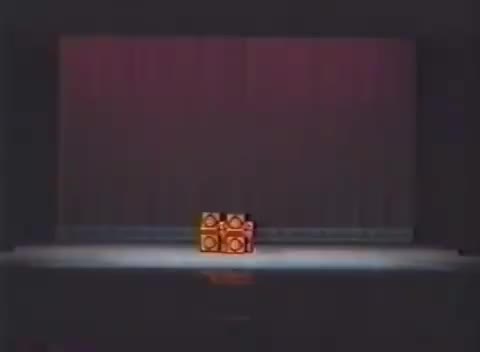 赵扬强、王莺华、杨莉娟(2000)