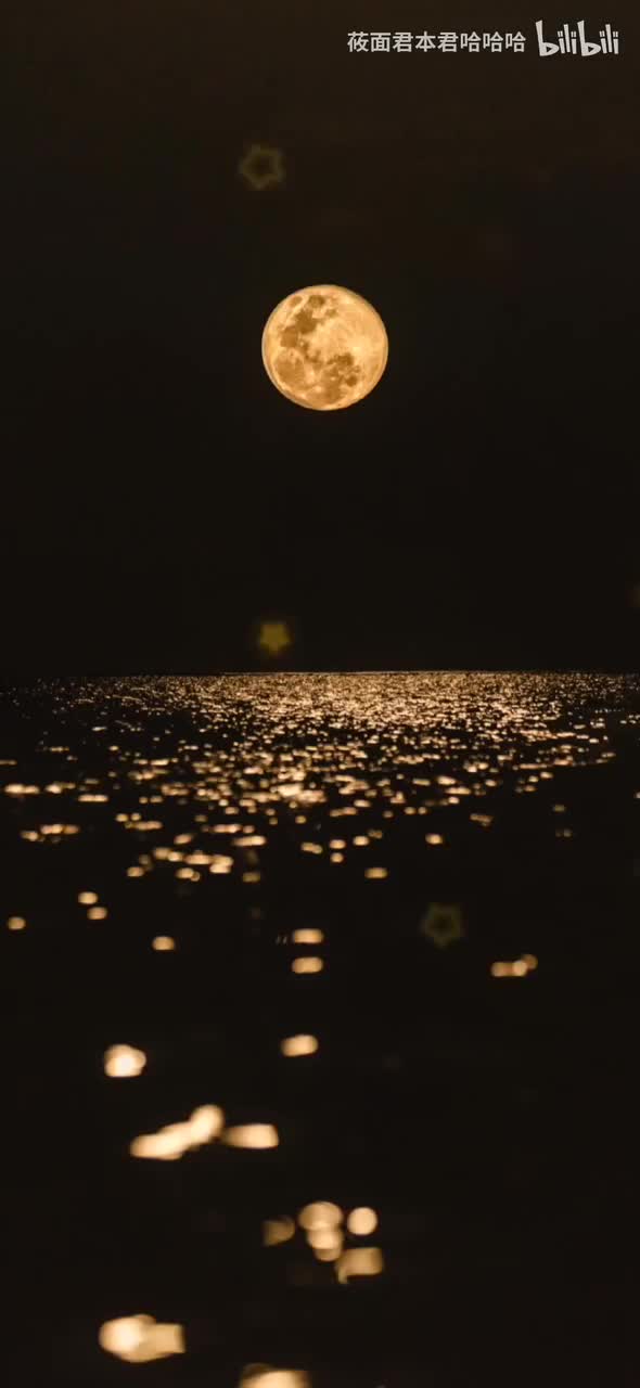 73.群星 - 月亮代表我的心