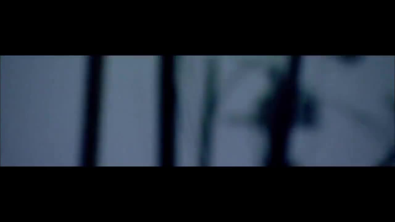 第4集 保险：风险的回归