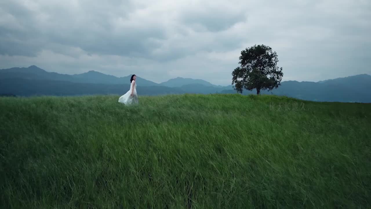 三星 W24 5G 系列广告