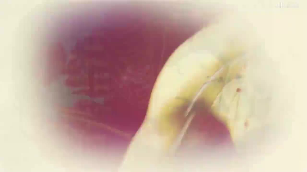 [4.18.3]--手太阳经