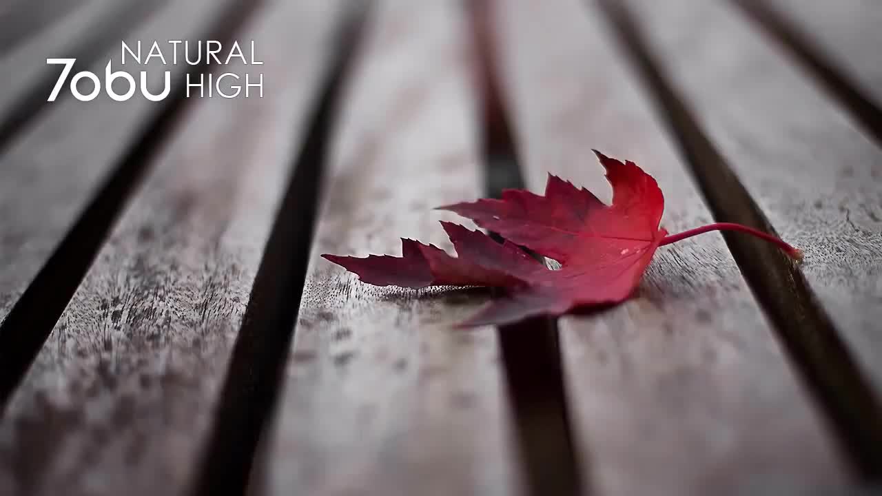 Natural High