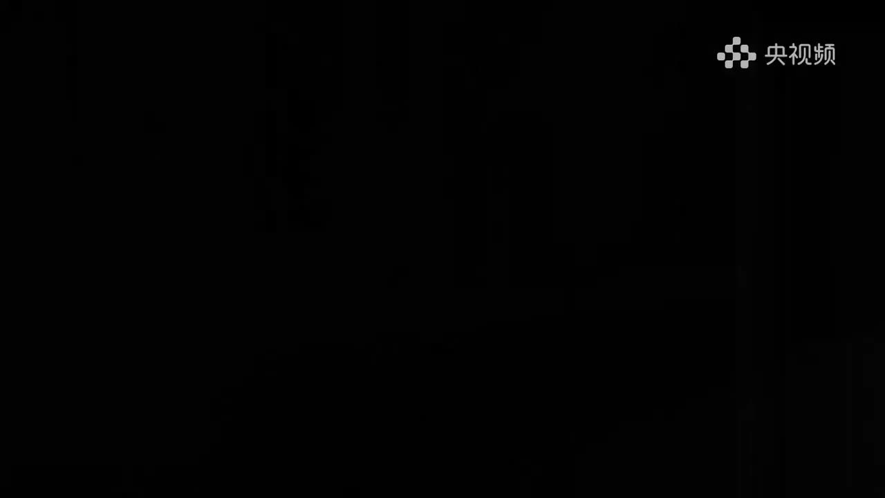 001.美术里的中国-齐白石