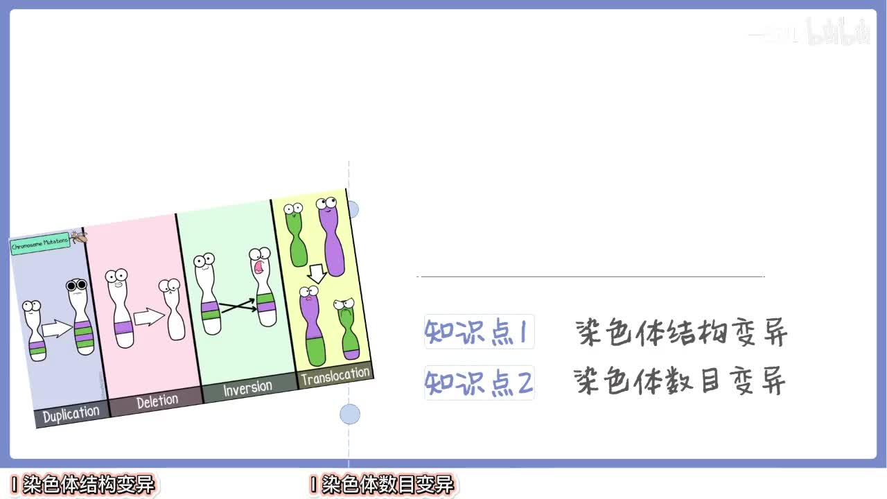 变异】2染色体变异【辞典】