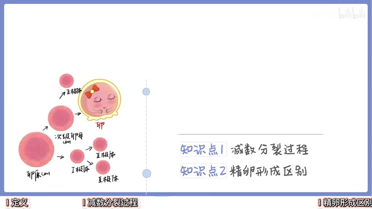 细胞生命历程】3减数分裂【辞典】