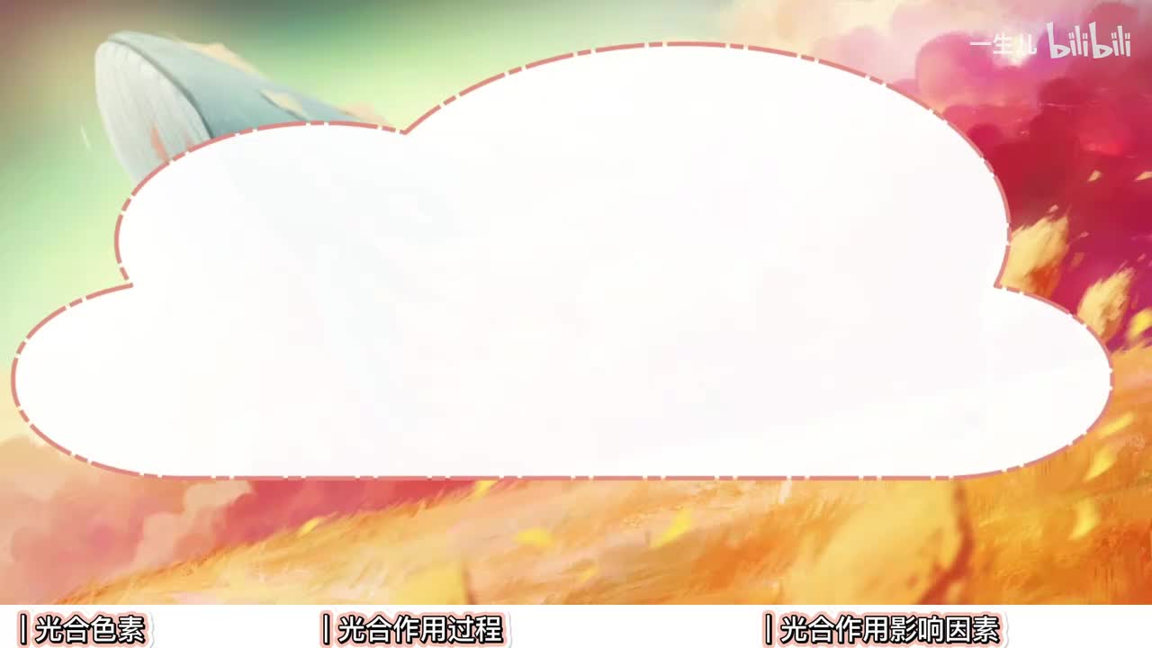 细胞代谢】7光合作用【辞典】