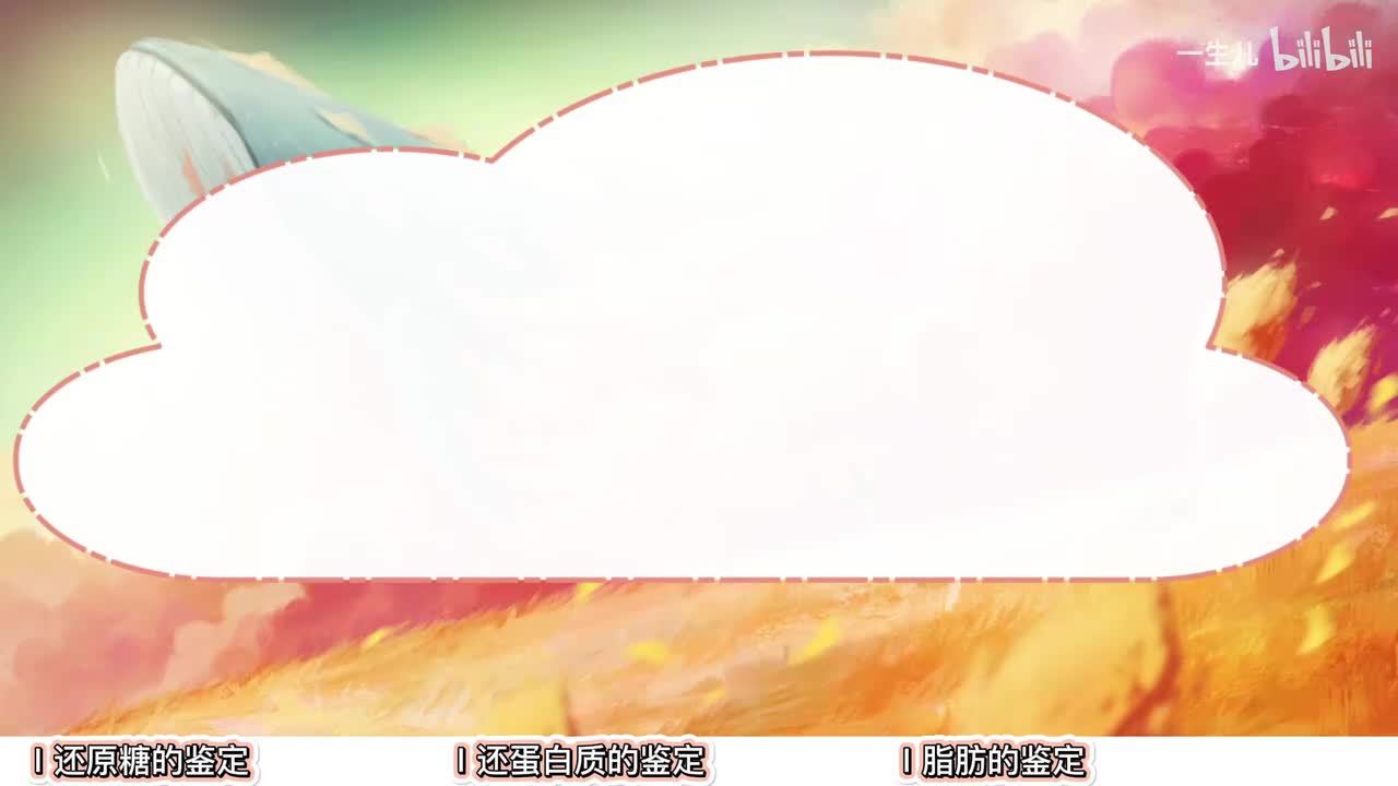 分子】9物质鉴定【实验】