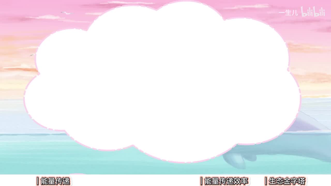 生态】7生态系统能量流动【辞典】