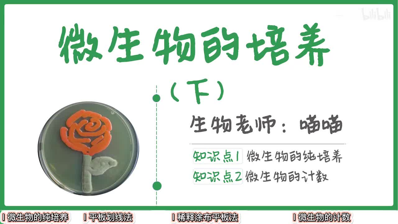 发酵工程】3微生物纯培养与计数【辞典】