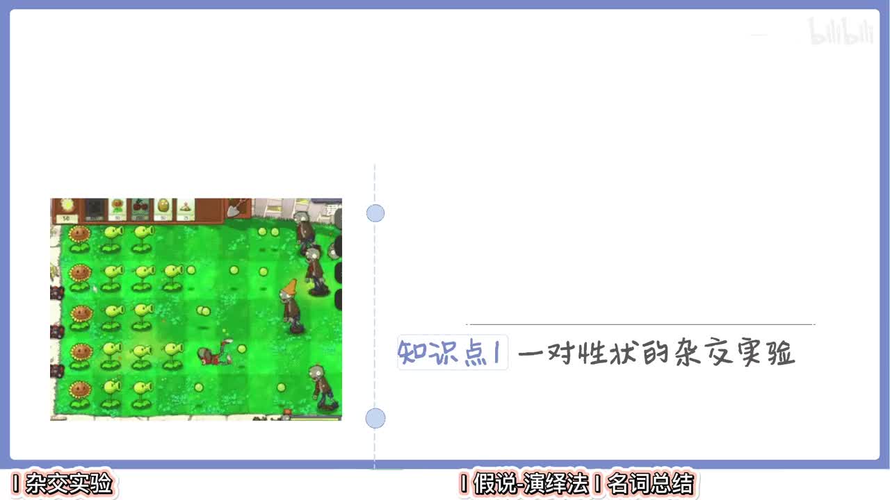 遗传】2分离定律的过程【辞典】