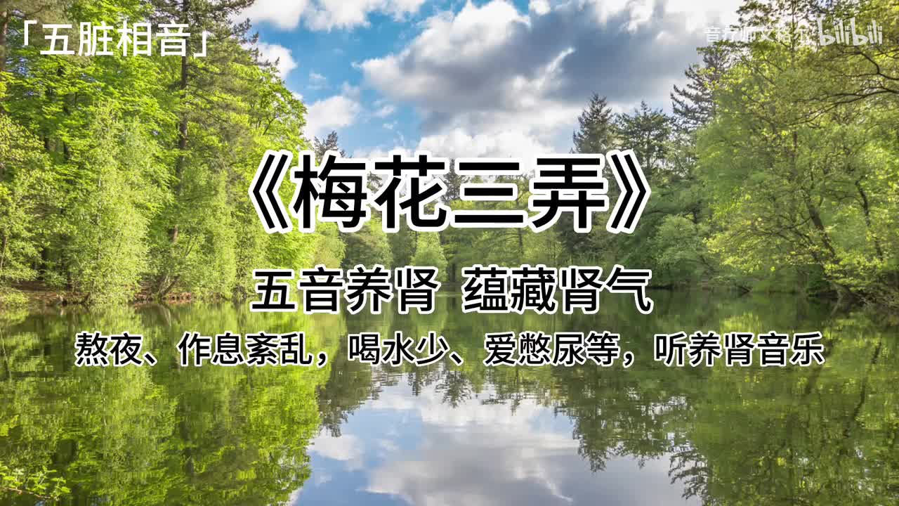 梅花三弄—羽调-肾应羽，其声沉以