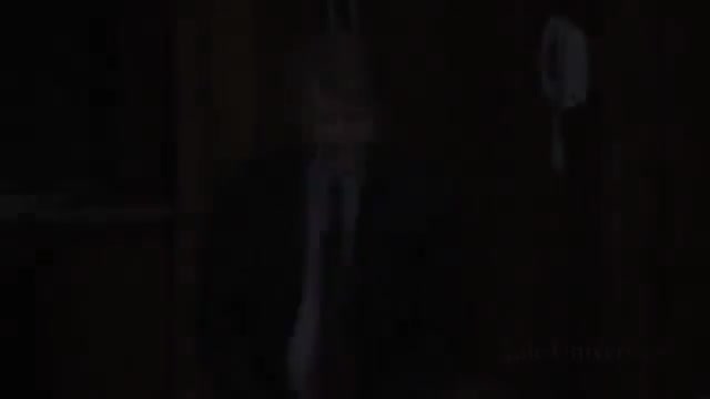 第20讲 斯蒂芬·施瓦茨曼的客座演讲