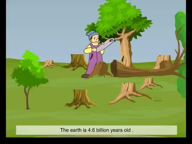 Unit 2 Topic 2 Section C