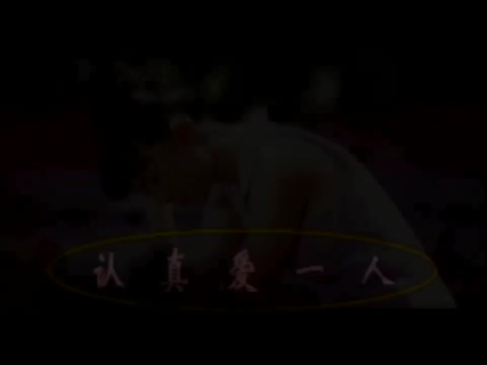 认真爱一人【原唱】