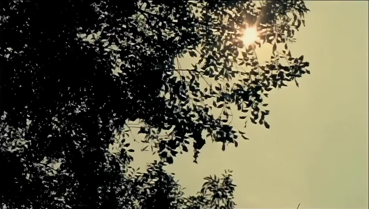 一个人流浪（2006.09.15）
