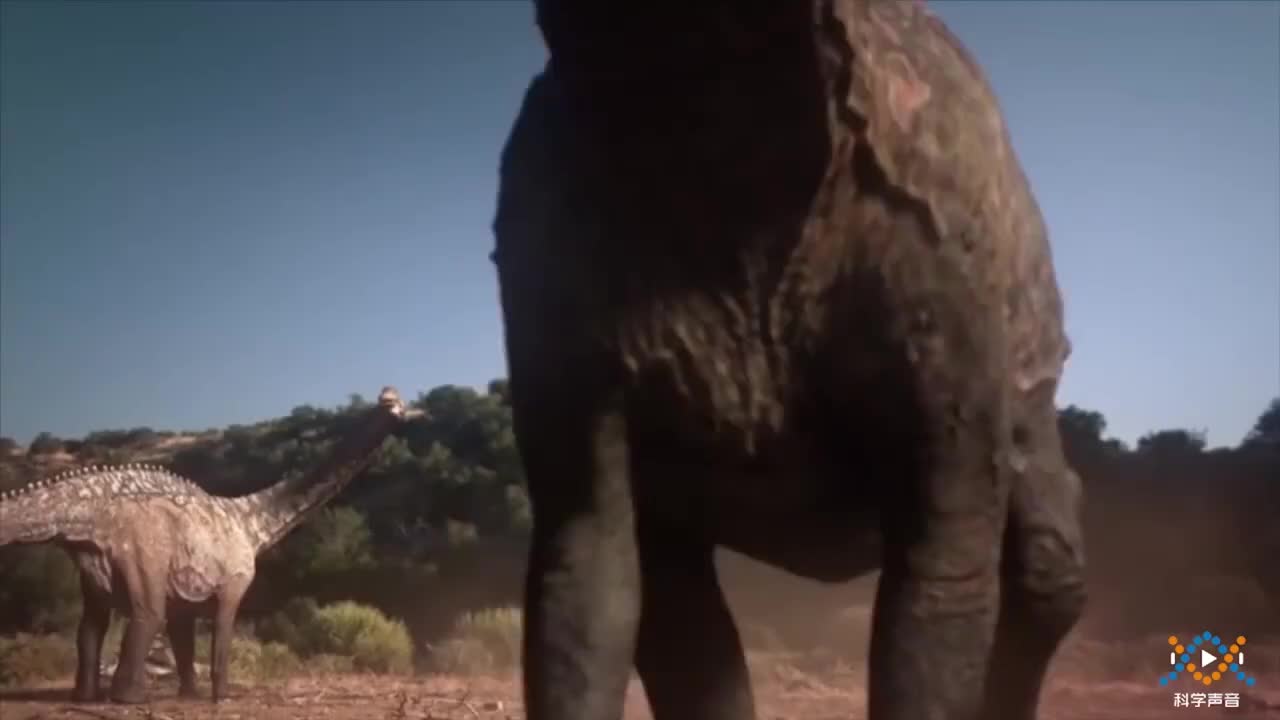 (01)教科版一上二单元2-1-1它们谁大谁小