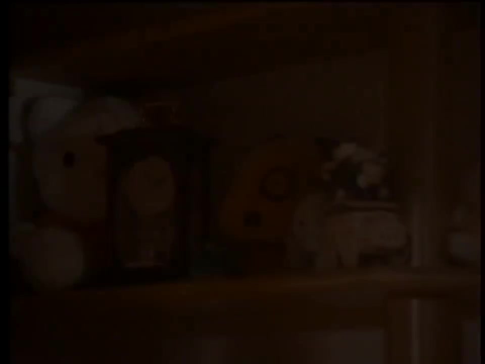 你看你看月亮的脸