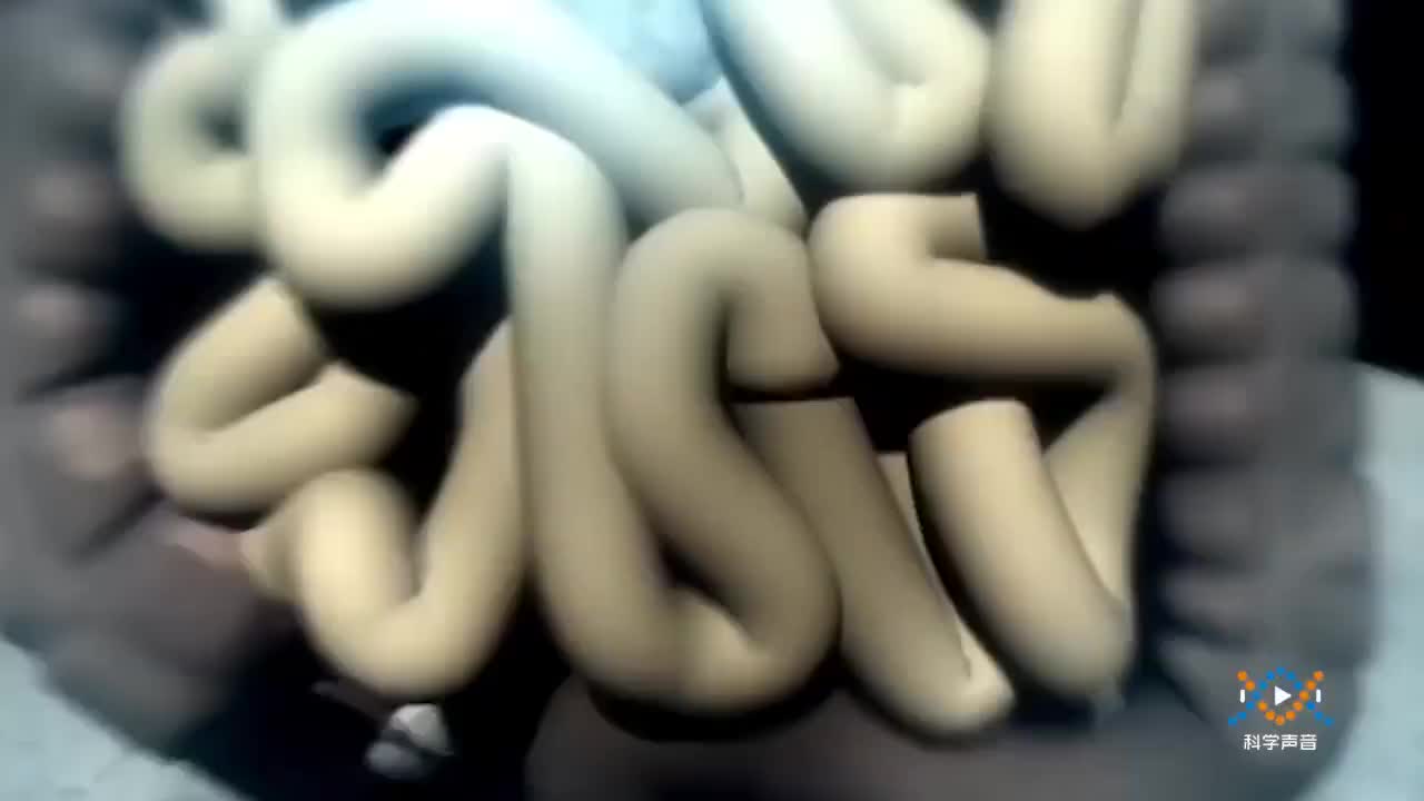 (01)教科版二下2-1-1观察我们的身体