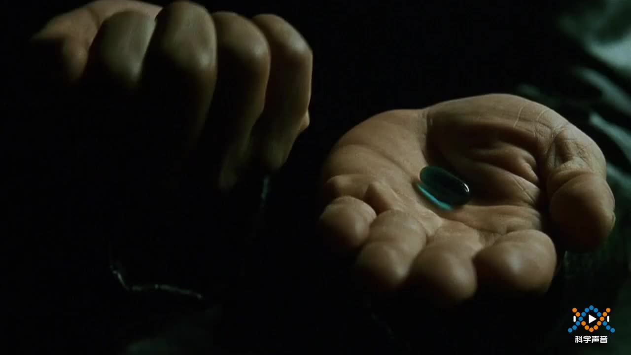 (06)教科版二下2-6-1身体的时间胶囊