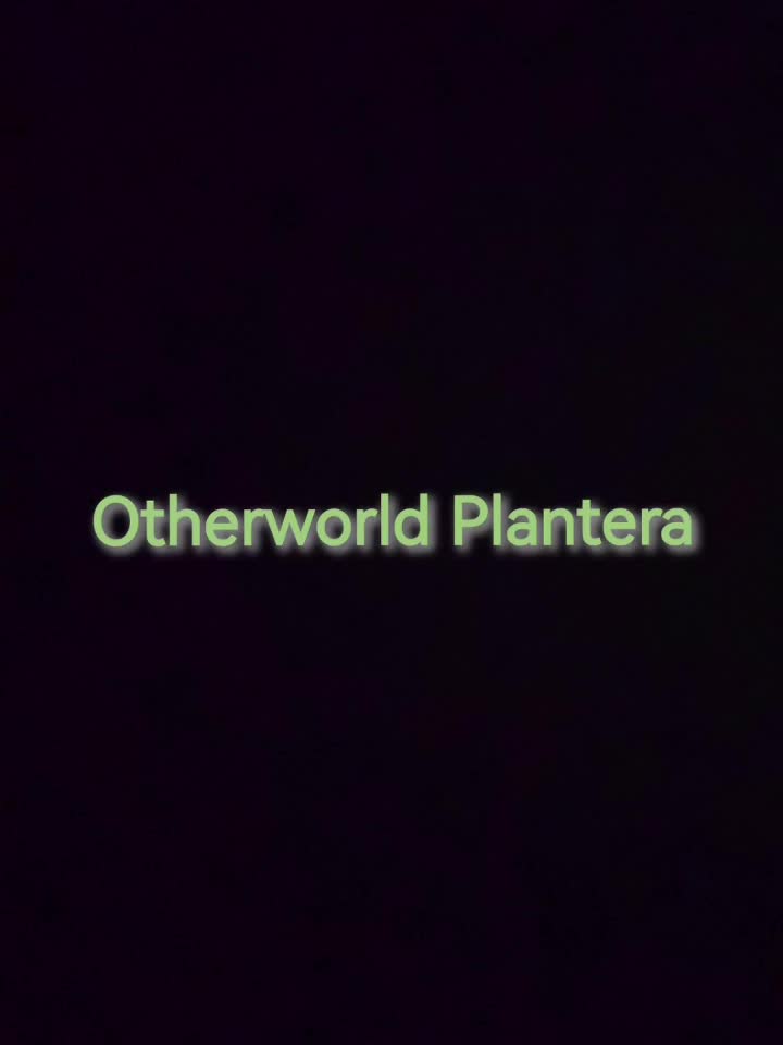 泰拉瑞亚1.4.5版本 异界世纪之花--Otherworld Plantera（世纪之花）