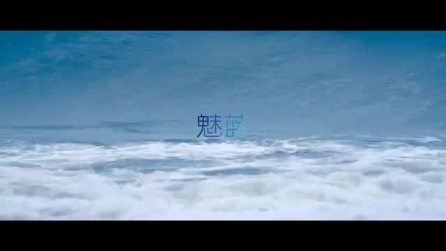 魅蓝Max（2016.9.5）