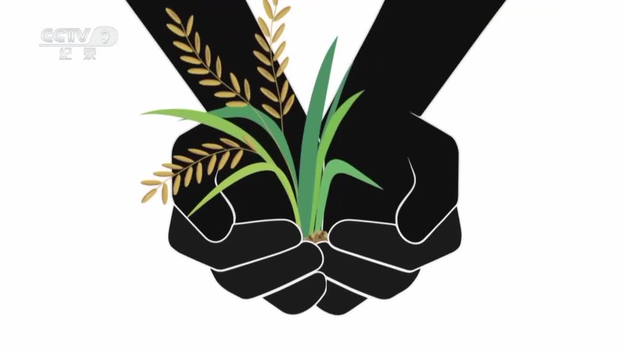 第2集 花样年华