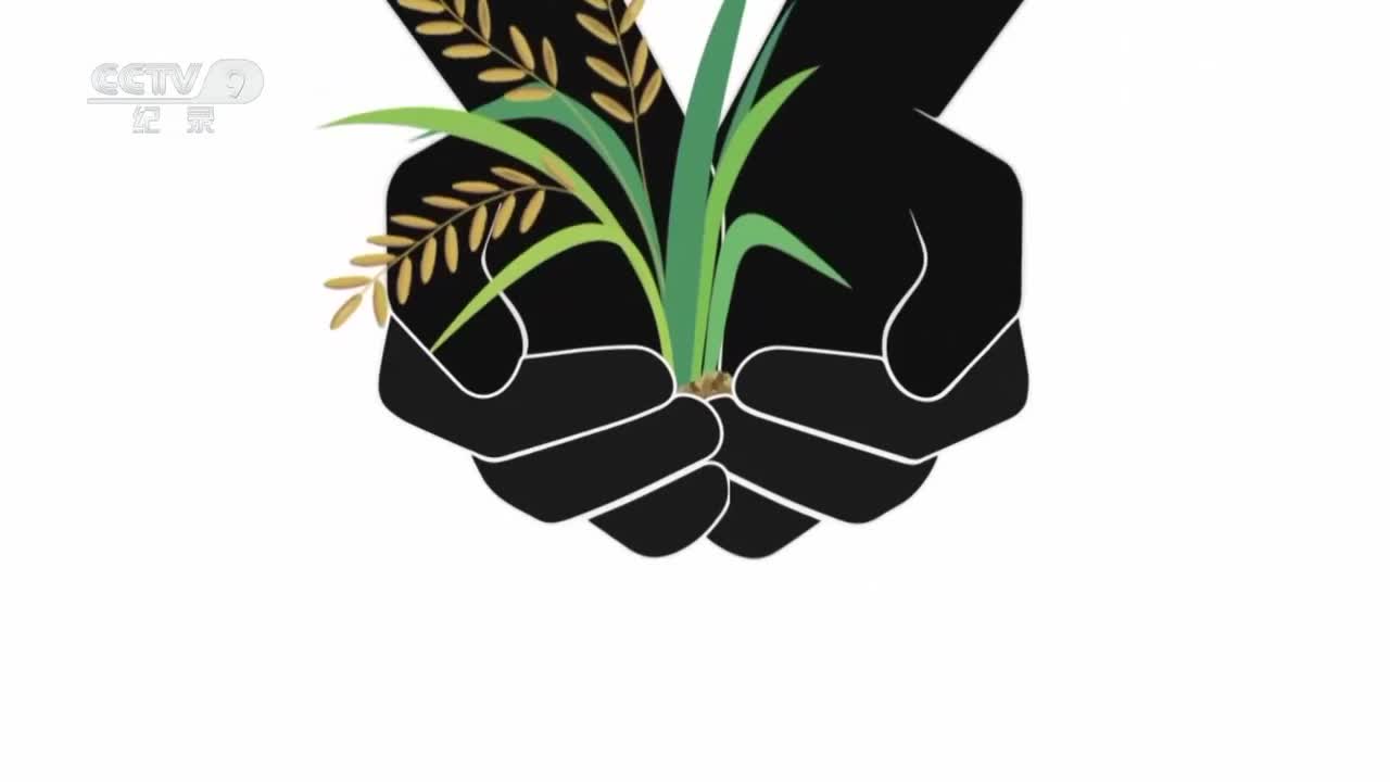 第6集 这也是技能