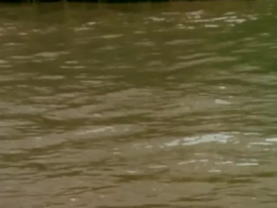 The Beatles - In My Life (1965) [2023 Mix]