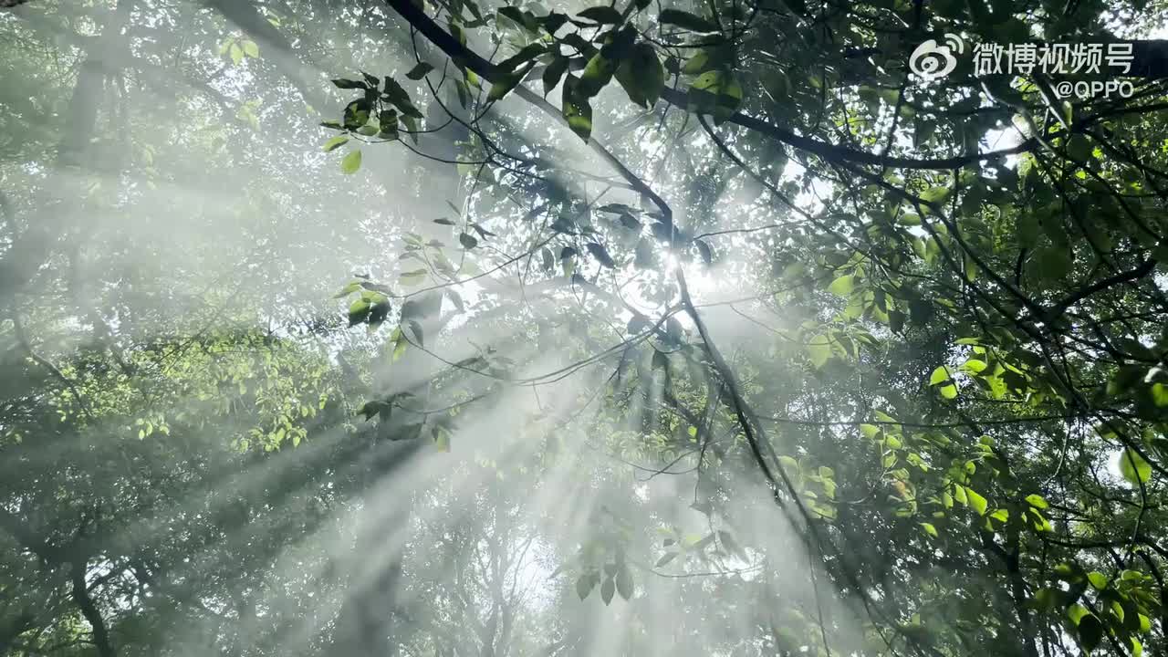 OPPO Reno11 5G 系列广告（3）