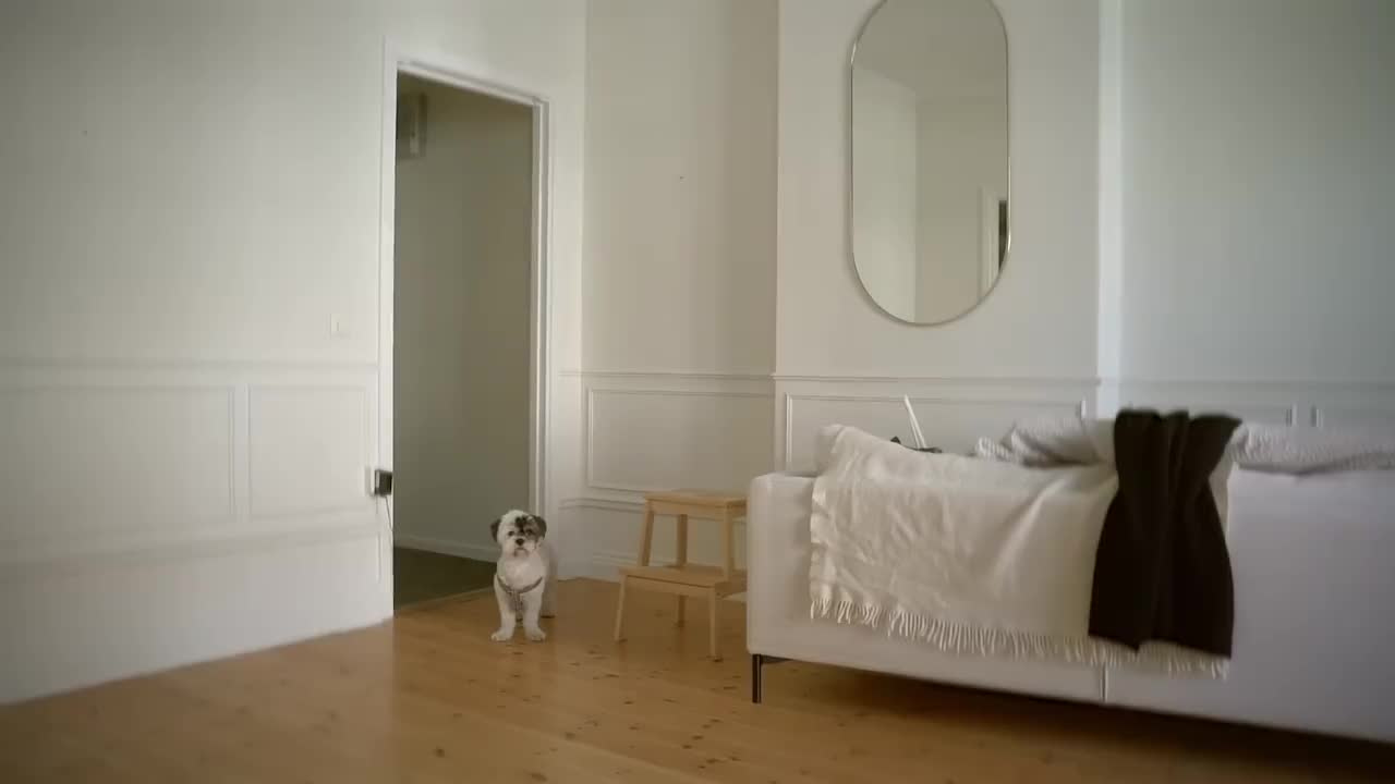 143. Should You Live Alone, With Roommates or With a Partner