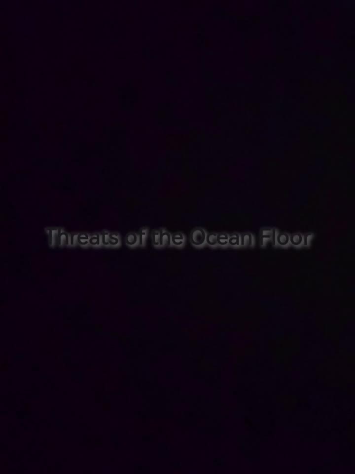泰拉瑞亚Calamity模组 渊海之威胁--Threats of the Ocean Floor（始源妖龙）