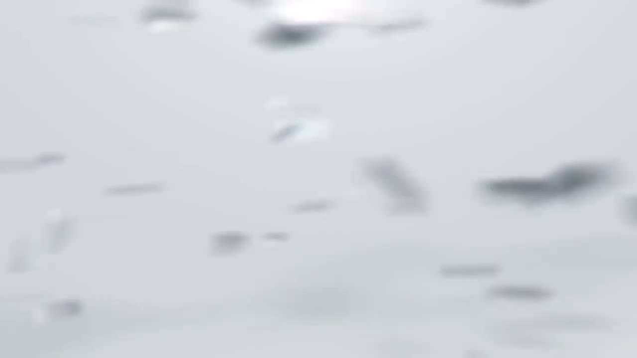 【4K】《Crazy Form》MV