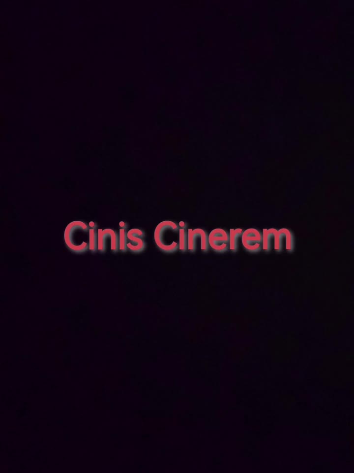 （已移除）泰拉瑞亚Calamity模组 硫火烬影--Cinis Cinerem（至尊女巫,灾厄）