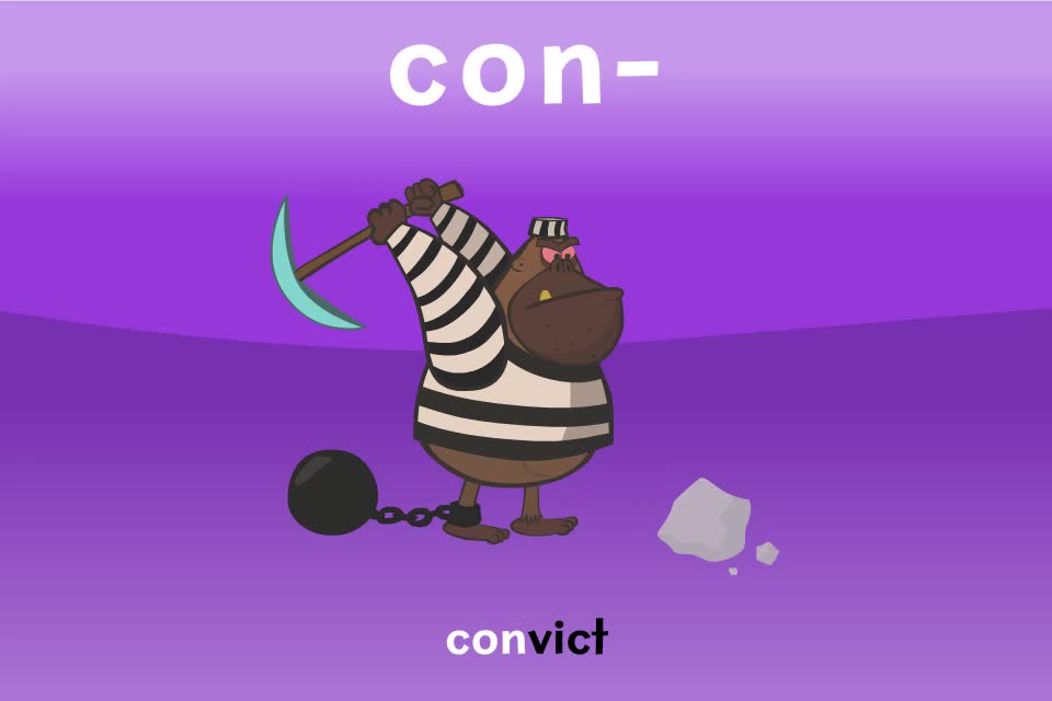 【常见前缀04】con-