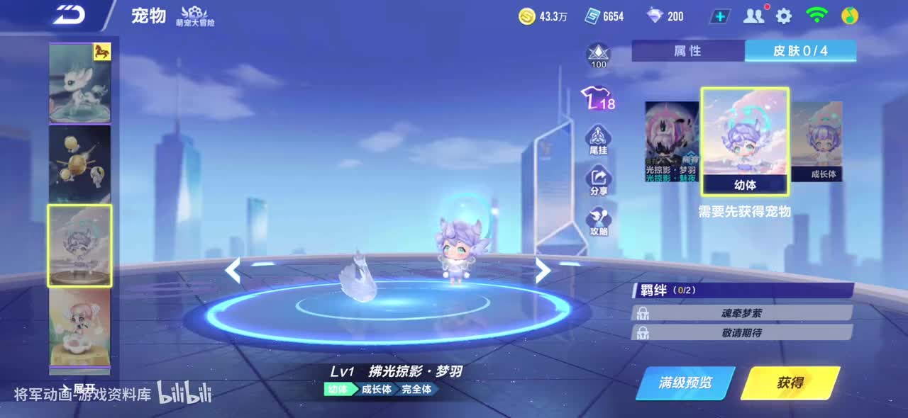 qq飞车手游 拂光掠影·梦羽 全宠物皮肤动作录制