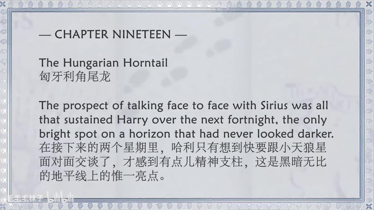 19 The Hungarian Horntail