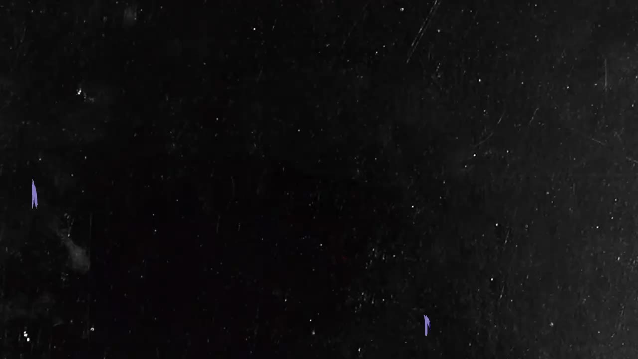 NAV & Gunna - Turks feat. Travis Scott